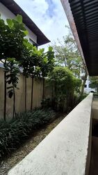 Trevose Crescent (D11), Detached #566175981